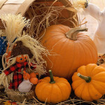 offerta-halloween-benessere-gusto